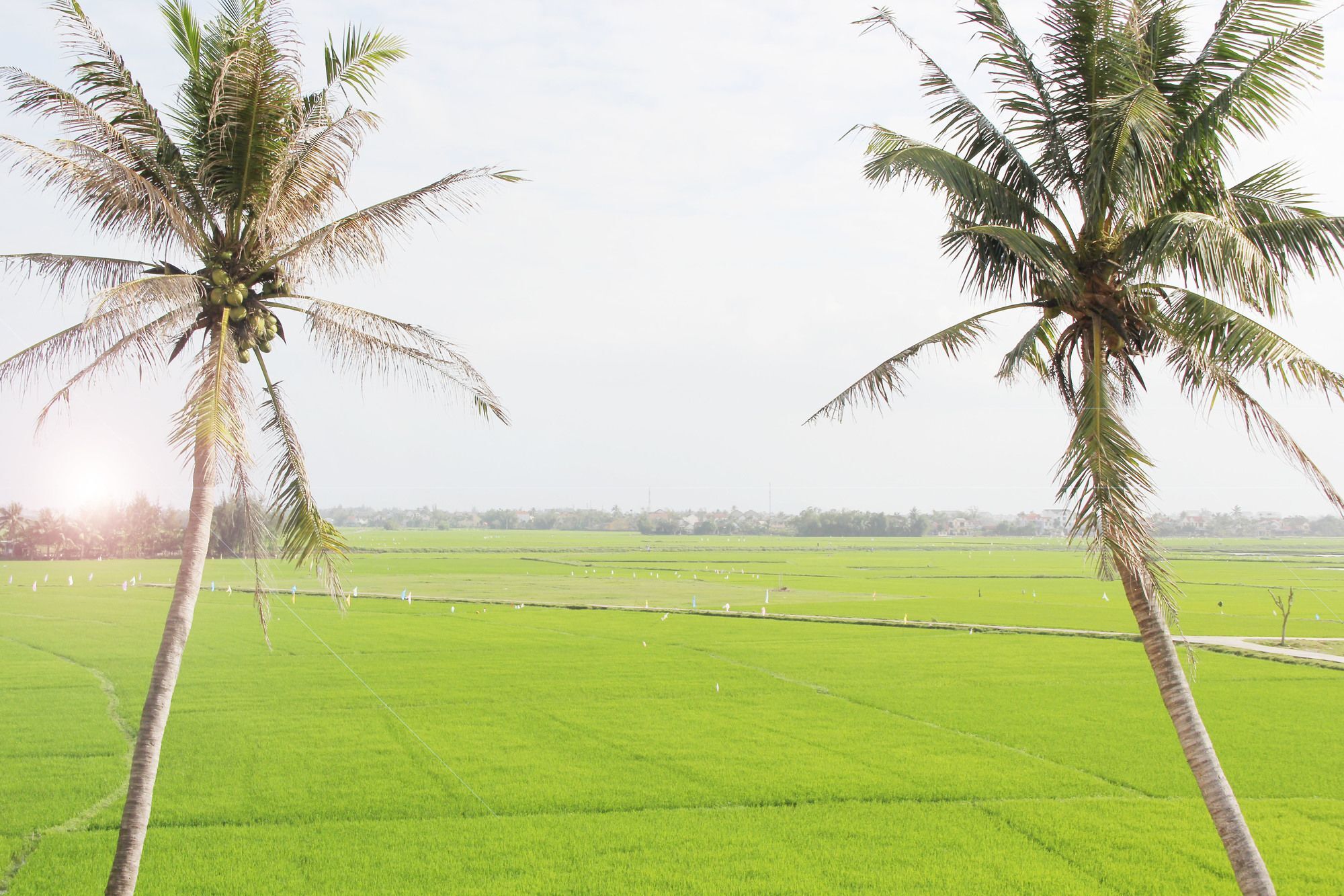Hoi An Four Season Villa Zewnętrze zdjęcie